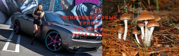 мяу мяу мука Богородицк