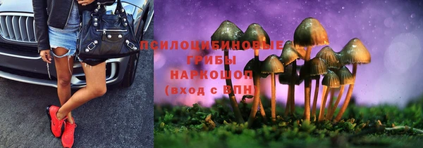 ALPHA PVP Беломорск